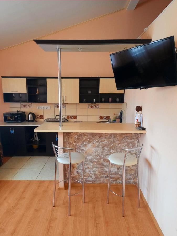 Studio Apartments In Center New 5 Floor Без Ліфту Ivano-Frankivsk Exterior foto
